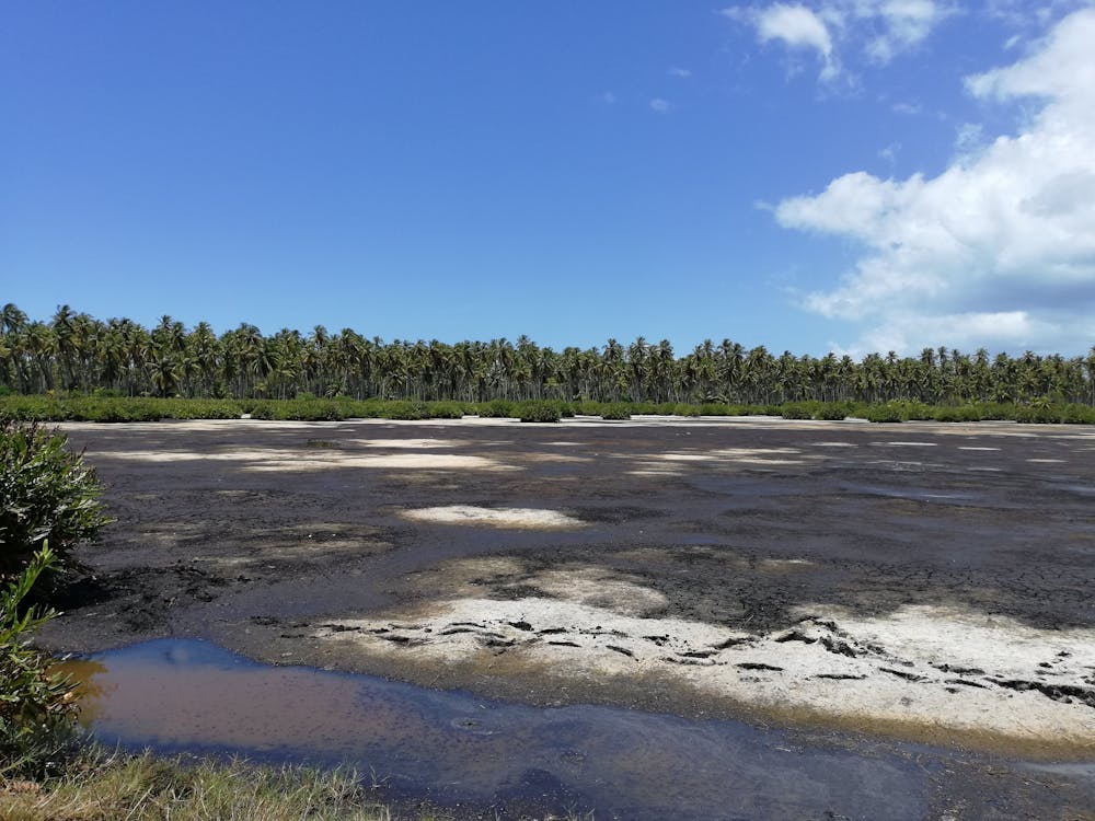 Villa yaz yaşami bahçe havuz dış mekan keyif